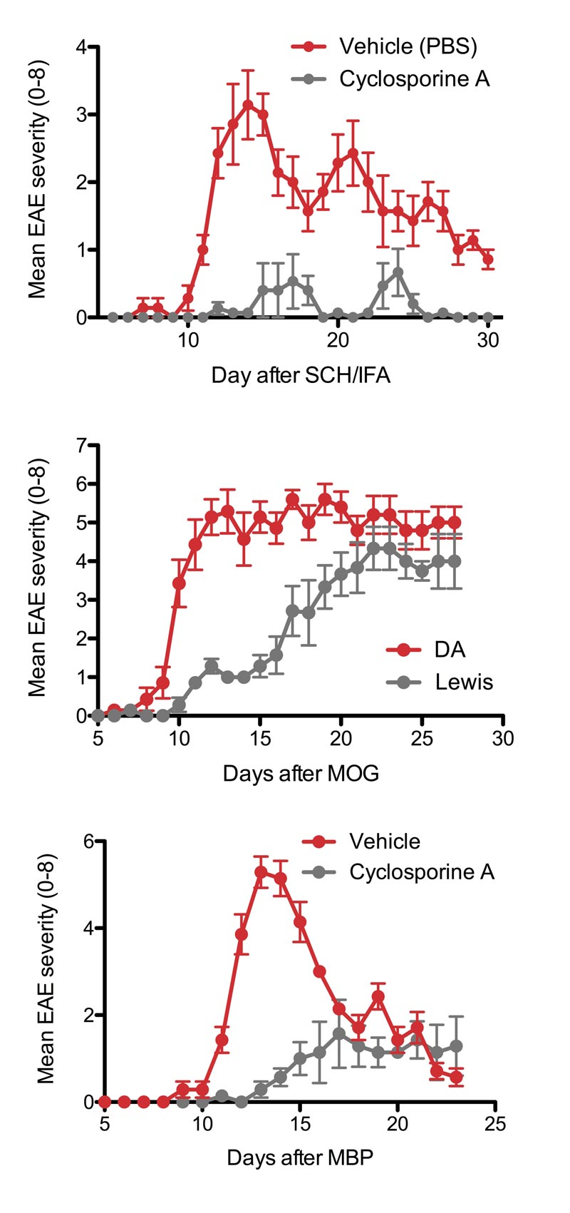 Spinal Cord Homogenate Induced EAE